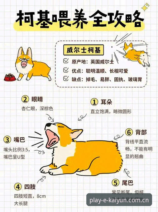 开运体育App怎么下载 如何安全下载开运体育App?新手必看的完整指南